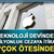 Apple'dan AB'nin 500 milyon avro para cezasına itiraz