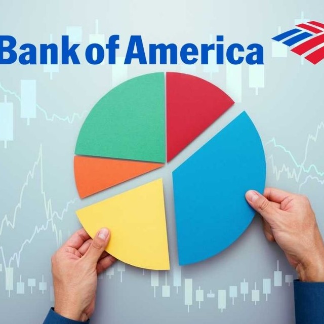 BofA banka hissesinden milyon TL'lik alım yaptı