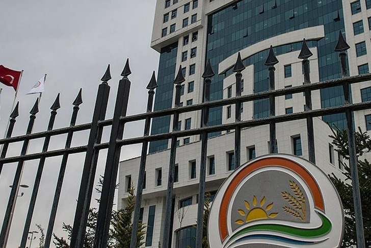 Bakanlık duyurdu! Ödemeler bugün hesaplara aktarılacak