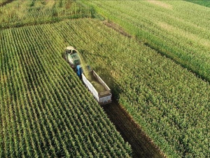 1 Eyl&uuml;l'de y&uuml;r&uuml;rl&uuml;ğe giriyor! Tarlası olanlar dikkat: Devlet başvurunuz olmasa da kiraya verecek