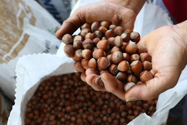 Ticaret borsalarında 11 ayda 637 bin tonu aşkın fındık işlem gördü