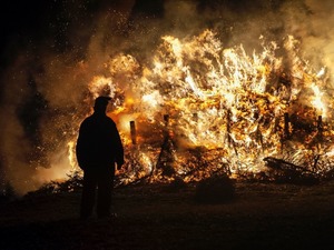 Orman yangınlarının acı faturası kabarıyor: 25 milyar TL'lik kayıp!