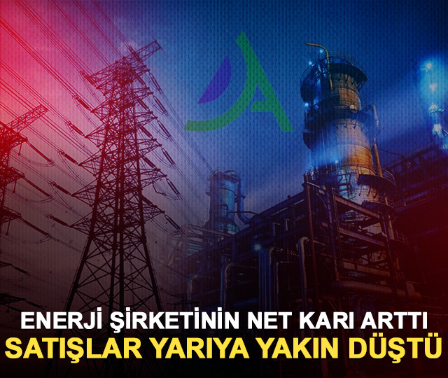 Enerji şirketinin net karı arttı, satışlar yarıya yakın düştü