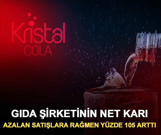 Azalan satışlara rağmen net kar arttı 