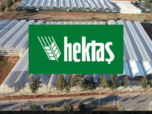 HEKTS’te altın kesişme! Yabancılar çapayı atmış, deniz sakin