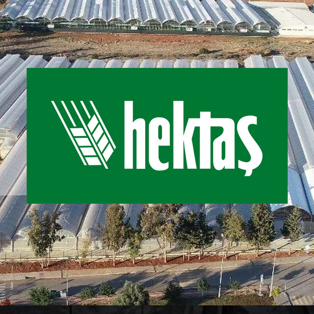 HEKTS’te altın kesişme! Yabancılar çapayı atmış, deniz sakin