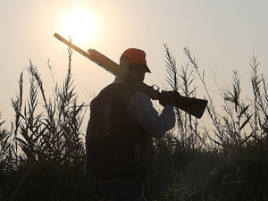 Orman yangınlarından etkilenen alanlarda avlanmak yasaklandı