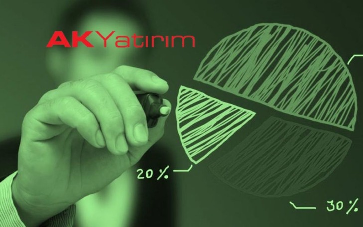 Borsa düşerken Ak Yatırım hava yolu hissesi topladı