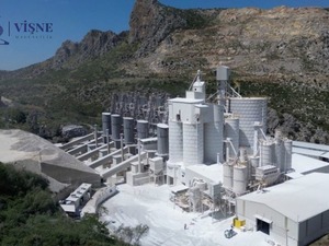 VSNMD fiyatı yapay şişirildi mi? K&uuml;&ccedil;&uuml;k yatırımcı derin zararda