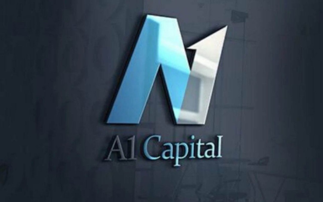 A1 Capital'in alım y&ouml;n&uuml;nde izlediği hisseler belli oldu 