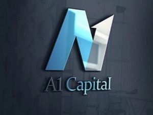 A1 Capital'in alım yönünde izlediği hisseler belli oldu 