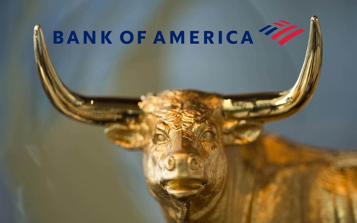 BofA o hisseyi gözüne kestirdi: 525 milyon liraya yakın alım yaptı!