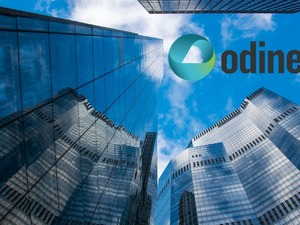 Odine G&uuml;ney Afrika'da yeni şirketini kurdu