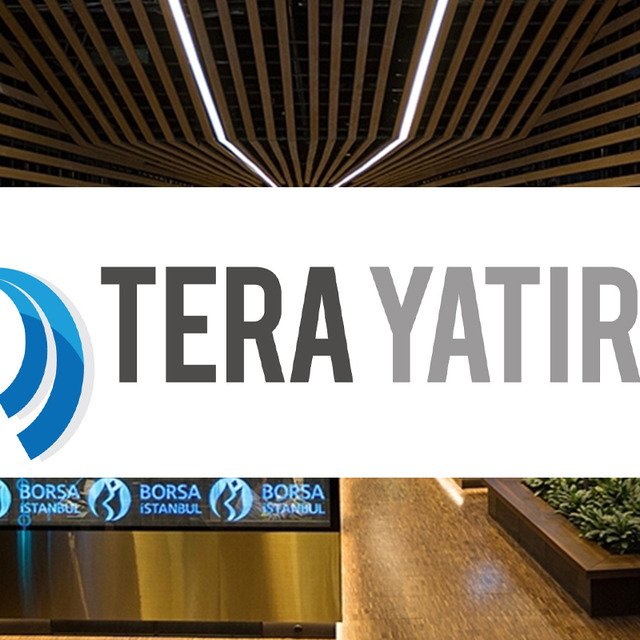 Tera Yatırım’ın en çok alım yaptığı hisseler belli oldu
