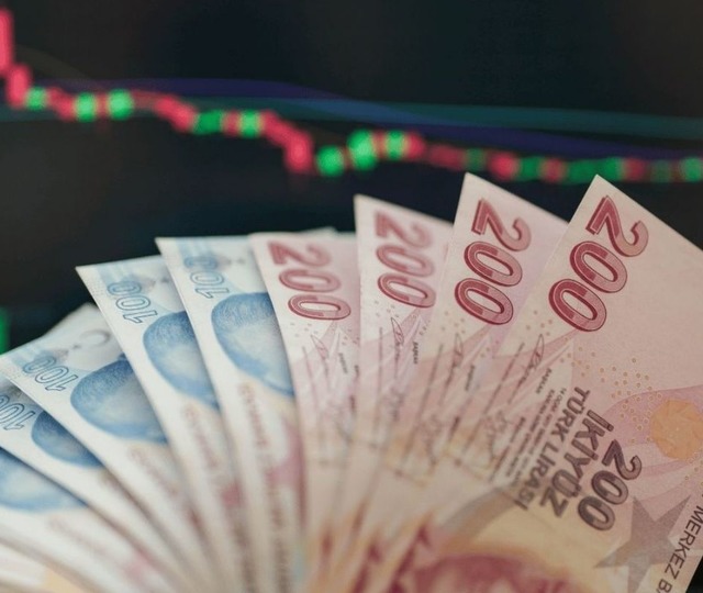 OVP’de enflasyon hedefi saptı