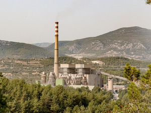 YK Enerji ile TTKD taşınan zeytin ağa&ccedil;larının takibi i&ccedil;in protokol imzaladı