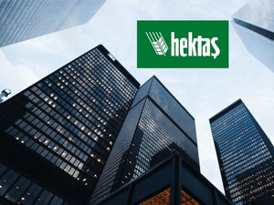 Hektaş'tan ortaklık görüşmesi açıklaması