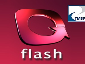 TMSF, Flash TV'yi satışa &ccedil;ıkardı: Muhammen bedel 84 Milyon TL