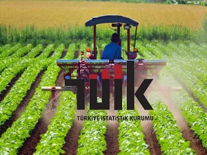 T&Uuml;İK a&ccedil;ıkladı: Tarım &Uuml;FE Ağustos&rsquo;ta 3,45 azaldı