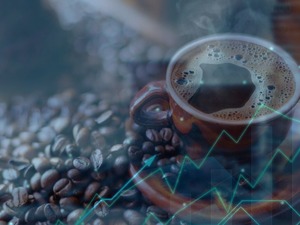 K&uuml;resel kahve fiyatları 7 ayın zirvesinde, kakao ise d&uuml;ş&uuml;şte