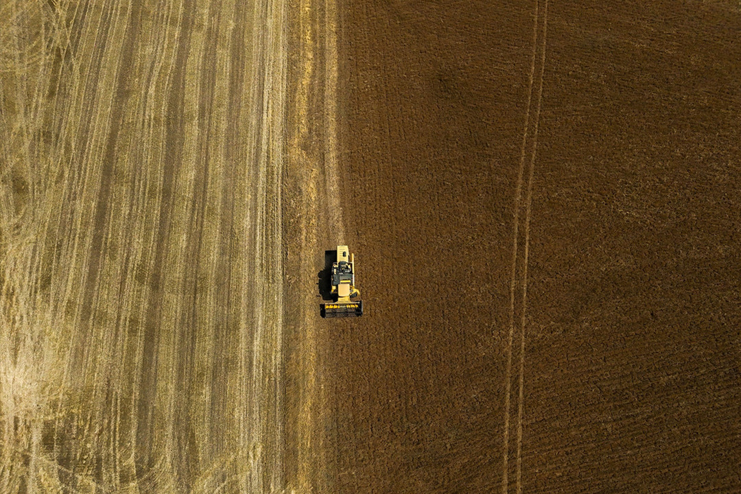 T&uuml;rkiye'de ilk sırada yer alıyor! 7 yılda y&uuml;zde 335 arttı