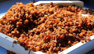 Türkiye’nin kuru üzüm ihracatı rekor kırdı