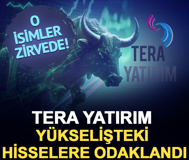 Hisseler düştükçe Tera topladı! Yıllık yüzde bin primlenen hisseyi gözüne kestirdi