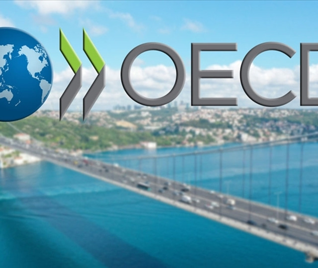 OECD Türkiye tahminlerini revize etti