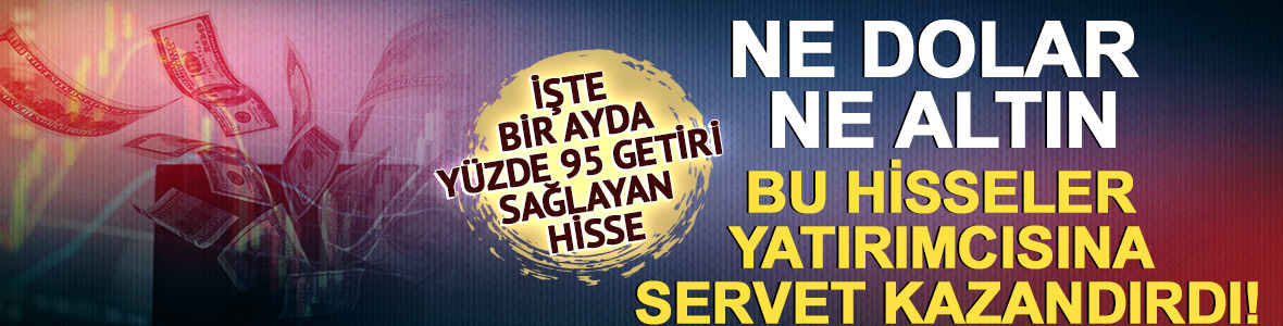 Ne dolar ne altın: Bu hisseler yatırımcısına servet kazandırdı! İşte bir ayda yüzde 95 getiri sağlayan hisse