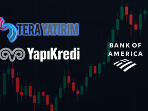 Tera Yatırım, Yapı Kredi, BofA... En çok alım yaptıkları hisseler belli oldu