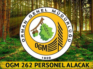 OGM personel alımı Eyl&uuml;l 2025: Orman Genel M&uuml;d&uuml;rl&uuml;ğ&uuml; 262 personel alacak! Başvuru şartları neler?