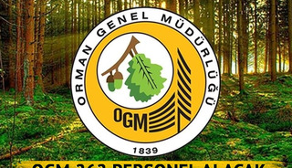 OGM personel alımı Eylül 2025: Orman Genel Müdürlüğü 262 personel alacak! Başvuru şartları neler?