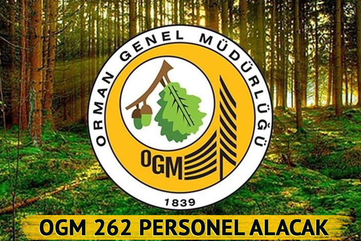 OGM personel alımı Eylül 2025: Orman Genel Müdürlüğü 262 personel alacak! Başvuru şartları neler?