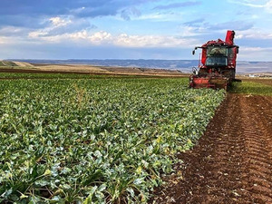 Bakan Yumaklı duyurdu! &Ouml;demeler bug&uuml;n yapılacak