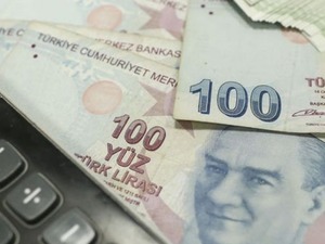 Bakanlık duyurdu: 325 milyon TL'lik &ouml;denek verildi