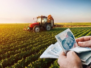 Çiftçiye 2,5 milyar TL'lik kuraklık tazminatı ödendi