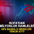 BofA'dan milyonluk hamleler: Dev banka o hisseleri tercih etti