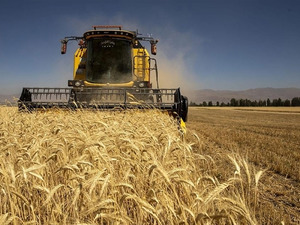 Tarımsal girdi fiyatları a&ccedil;ıklandı: &Ccedil;ift&ccedil;inin maliyet y&uuml;k&uuml; y&uuml;zde 34 arttı