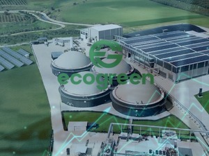 Halka arzda büyük hata: Ecogreen’in fiyat tespitinde 11 milyon TL’lik sapma