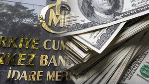 Reel sektörün net döviz açığı ağustosta 184,9 milyar dolar