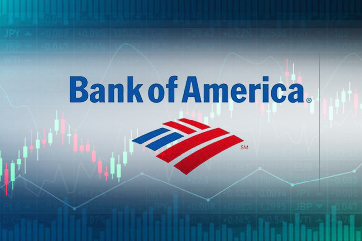 Borsa İstanbul'da Bank of America'nın alım yaptığı hisseler belli oldu