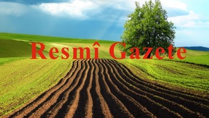 Yeni yönetmelik yürürlükte: Kamu taşınmazlarının satışında noter detayı!