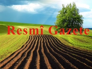 Yeni y&ouml;netmelik y&uuml;r&uuml;rl&uuml;kte: Kamu taşınmazlarının satışında noter detayı!