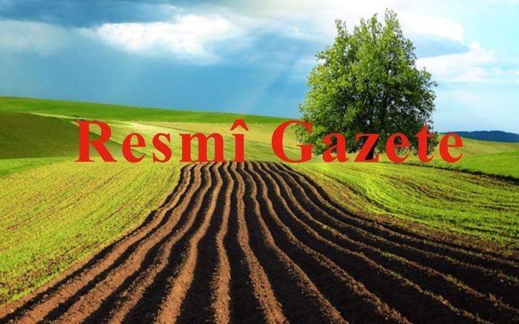 Yeni yönetmelik yürürlükte: Kamu taşınmazlarının satışında noter detayı!