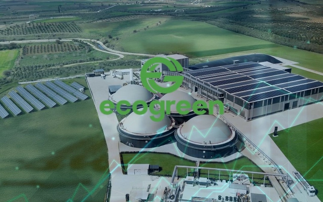 Ecogreen Enerji'nin halka arz sonucu geldi: Kaç lot verdi?