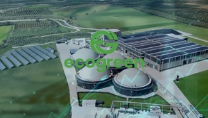 Ecogreen Enerji'nin halka arz sonucu geldi: Kaç lot verdi?
