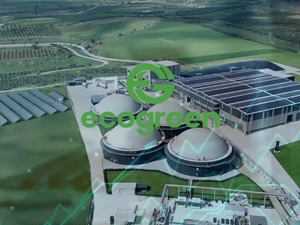Ecogreen Enerji'nin halka arz sonucu geldi: Kaç lot verdi?