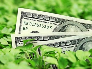 Dolar endeksi (DXY) nedir, nasıl yorumlanır?