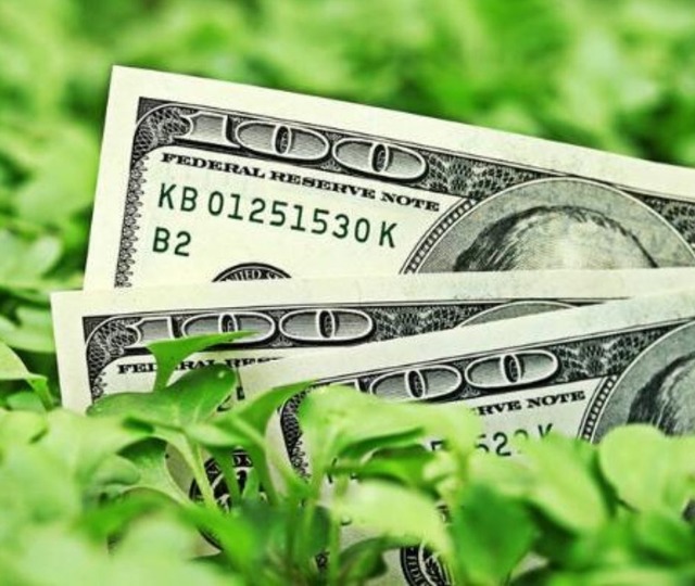 Dolar endeksi (DXY) nedir, nasıl yorumlanır?