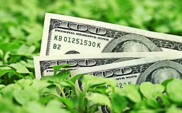 Dolar endeksi (DXY) nedir, nasıl yorumlanır?